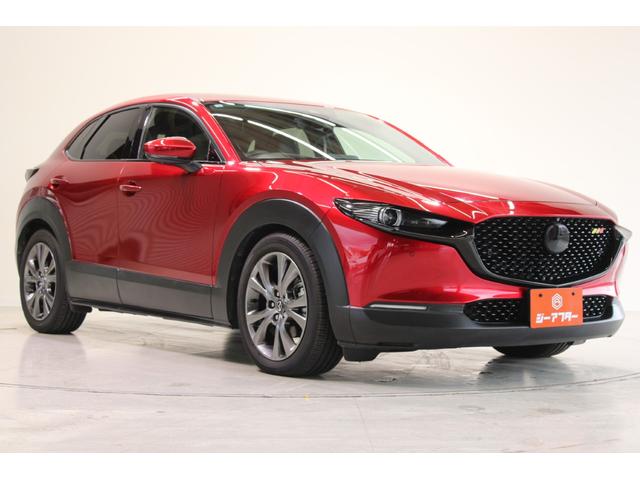 ＣＸ－３０ Ｘ　Ｌパッケージ　Ｒ１登録／ＡｕｔｏＥｘｅ車高調／ＢＯＳＥサウンド／純正ナビ／地デジ／全周囲カメラ／温熱黒革シート／パドルシフト／レーダークルーズコントロール／ＬＥＤヘッドライト／ヘッドアップディスプレイ／パワーシート（7枚目）