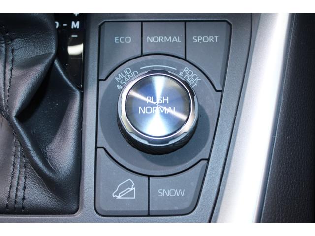 RAV4 アドベンチャー ユーザー買取車 パノラマムーンルーフ 禁煙車 純正10.5インチディスプレイ フルセグTV バックカメラ 合皮スポーティシート シートヒーター シートベンチレーション トヨタセーフティセンス ETC(61枚目)