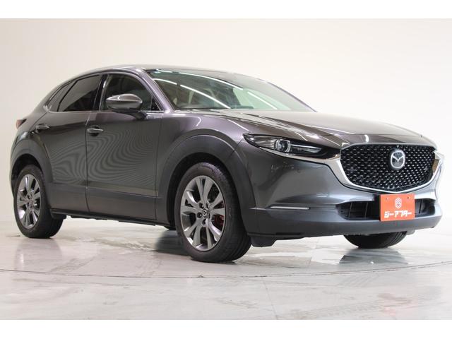 CX-30 X Lパッケージ 禁煙車 6速MT 純正8.8インチナビ(SD確認中) 全周囲カメラ フルセグTV メモリー付き温熱茶革シート クルーズコントロール 電動リアゲート LEDヘッドライト フォグランプ オートハイビーム(8枚目)