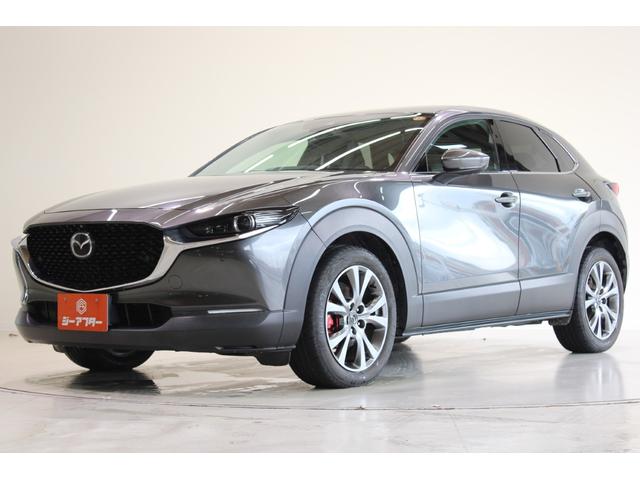 CX-30 X Lパッケージ 禁煙車 6速MT 純正8.8インチナビ(SD確認中) 全周囲カメラ フルセグTV メモリー付き温熱茶革シート クルーズコントロール 電動リアゲート LEDヘッドライト フォグランプ オートハイビーム(10枚目)