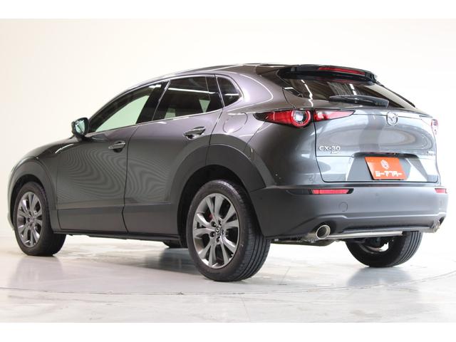 CX-30 X Lパッケージ 禁煙車 6速MT 純正8.8インチナビ(SD確認中) 全周囲カメラ フルセグTV メモリー付き温熱茶革シート クルーズコントロール 電動リアゲート LEDヘッドライト フォグランプ オートハイビーム(12枚目)