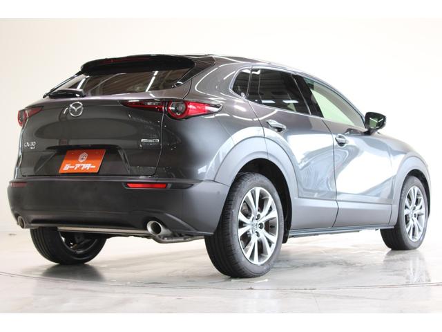CX-30 X Lパッケージ 禁煙車 6速MT 純正8.8インチナビ(SD確認中) 全周囲カメラ フルセグTV メモリー付き温熱茶革シート クルーズコントロール 電動リアゲート LEDヘッドライト フォグランプ オートハイビーム(14枚目)