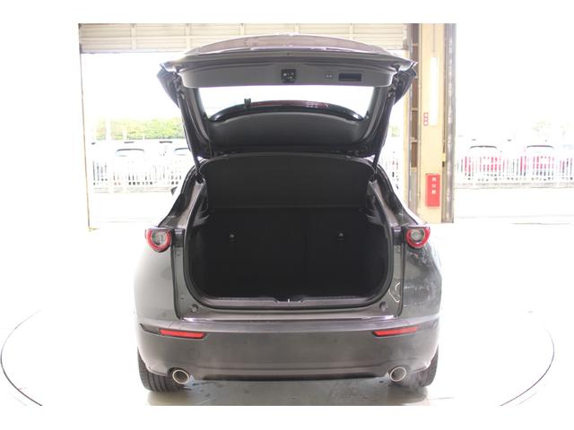 CX-30 X Lパッケージ 禁煙車 6速MT 純正8.8インチナビ(SD確認中) 全周囲カメラ フルセグTV メモリー付き温熱茶革シート クルーズコントロール 電動リアゲート LEDヘッドライト フォグランプ オートハイビーム(33枚目)