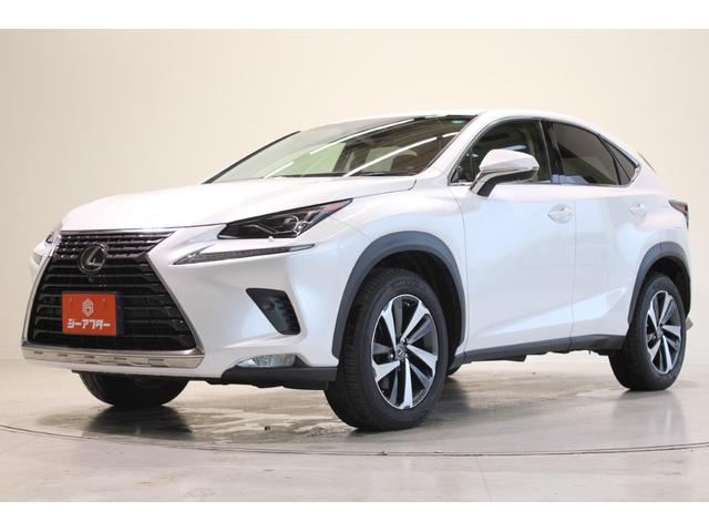 ＮＸ ＮＸ３００　Ｉパッケージ　禁煙車　純正１０．３インチナビ　全周囲カメラ　フルセグＴＶ　ステアリングヒーター　パーキングサポートブレーキ　ＯＰ１８インチアルミホイール　ＡＣ１００Ｖ　電動リアゲート　レーダークルーズ　ＥＴＣ２．０（10枚目）