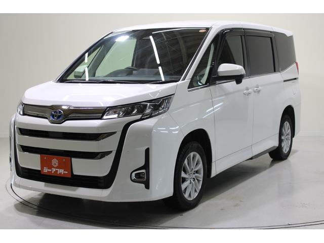 ���ЃW�[�A�t�^�[�l�d�f�`�V���X�ւ����X���������I�L�x�ȍ݌ɂƍ��i���ȃT�[�r�X�ŁA���Ȃ��Ƀs�b�^���̂P�������Ă��܂��B�X�^�b�t�ꓯ�A�S��肨�҂����Ă���܂��I