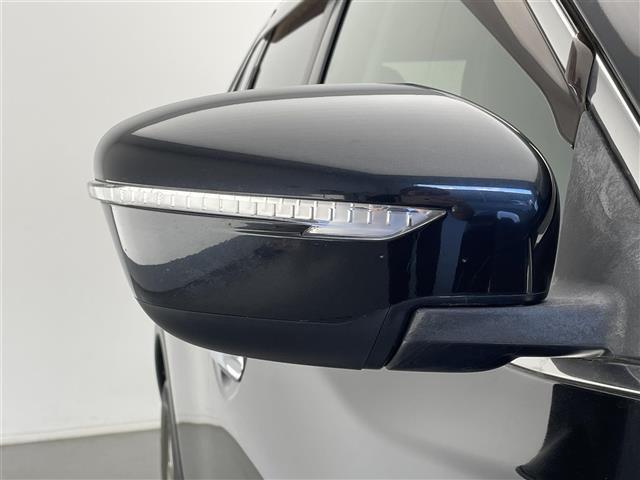 エクストレイル 20X 社外ナビ TV Bカメ ETC(25枚目)