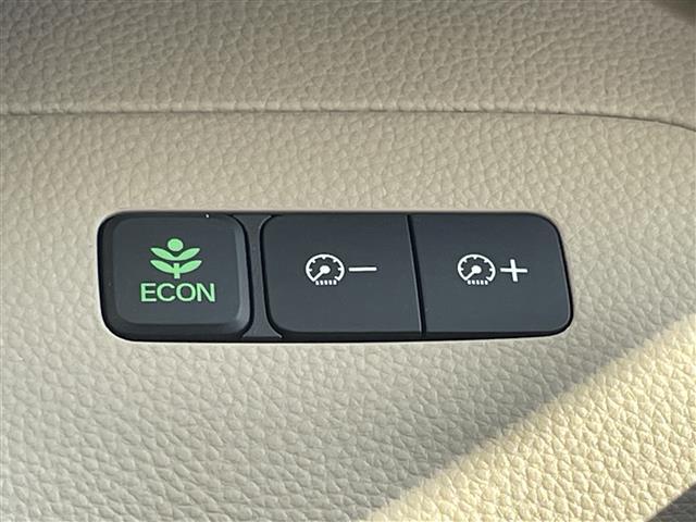 N-BOX G・Lホンダセンシング ホンダセンシング 純正ナビゲーション バックカメラ ビルトインETC レーダークルーズコントロール LEDヘッドライト パワースライドドア プッシュスタート スマートキー 純正フロアマット バイザー(30枚目)