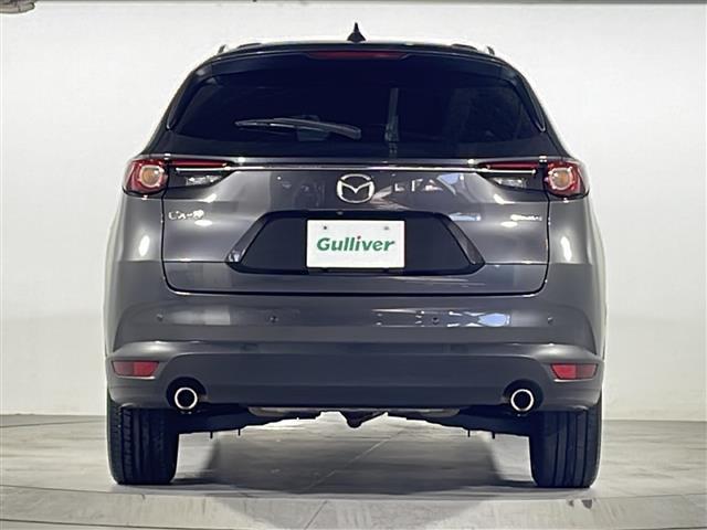 ＣＸ－８ ＸＤ　ブラックトーンエディション　禁煙　マツダコネクト　３６０°ビューモニター　ドライブレコーダー　ＥＴＣ　ＨＵＤ　ＢＳＭ　パワーバックドア　シートヒーター　ハーフレザー　パワーシート　ステアリングヒーター　パドルシフト　ルーフレール（39枚目）