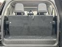TX Lパッケージ マットブラックエディション 禁煙車 ブラックルーフレール ムーンルーフ トヨタセーフティセンス PCS LDA RSA LEDオートライト ETC2.0 純正9インチナビ 純正フロアマット スマートキー スペアキー(32枚目)