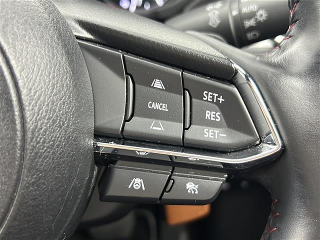 ＣＸ－５ ＸＤ　スポーツアピアランス　純正ナビ　全方位カメラ　ステアリングヒーター　ドライブレコーダーＺＰＲ－０７５　クルージング＆トラフィック・サポート　フロント＆リアバンパーガーニッシュ　電動リアゲート　電動パーキング　ＥＴＣ（30枚目）