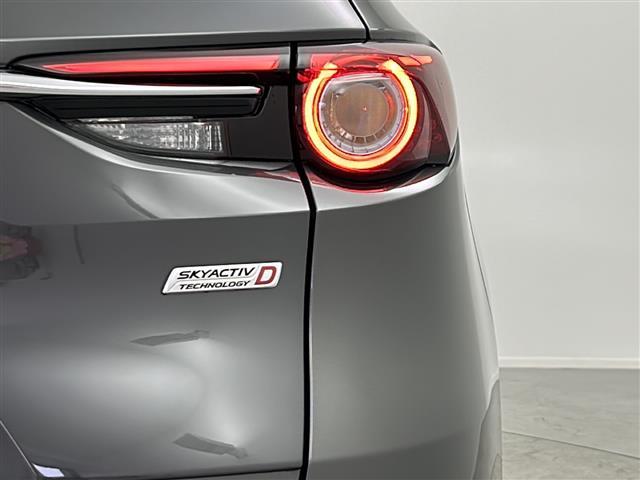 CX-8 XD Lパッケージ ナビ CD DVD SD USB BT フルセグTV ETC レーダークルコン 衝突軽減ブレーキ 車線維持 全方位カメラ BOSEサウンド ETC 前後コーナーセンサー ルーフキャリア シートヒーター(25枚目)