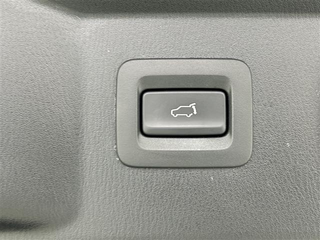 CX-8 XD Lパッケージ ナビ CD DVD SD USB BT フルセグTV ETC レーダークルコン 衝突軽減ブレーキ 車線維持 全方位カメラ BOSEサウンド ETC 前後コーナーセンサー ルーフキャリア シートヒーター(35枚目)