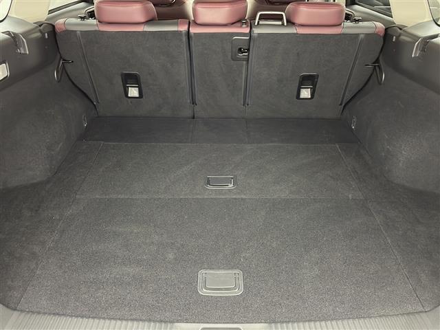 レヴォーグ 1.6STIスポーツアイサイト 4駆 純正8インチSDナビ バックカメラ 左サイドカメラ デジタルインナーミラー ETC BSM 衝突被害軽減システム レーンキープアシスト コーナーセンサー後ろ クルーズコントロール パワーシート(15枚目)