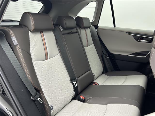 ＲＡＶ４ アドベンチャー　純正１０．５型ＤＡナビ　パノラマミックビューモニター　ＢＳＭ　シートベンチレーション　シートヒーター　トヨタセーフティセンス　レーダークルーズコントロール　プリクラッシュセーフティ　純正ＡＷ　　ＥＴＣ（14枚目）