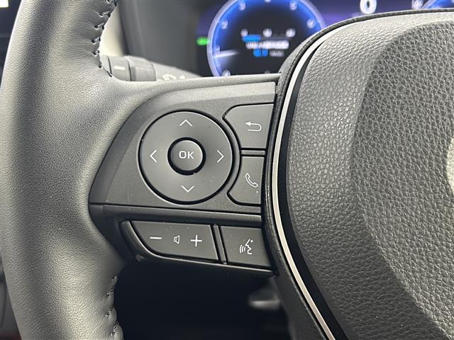 ＲＡＶ４ アドベンチャー　純正１０．５型ＤＡナビ　パノラマミックビューモニター　ＢＳＭ　シートベンチレーション　シートヒーター　トヨタセーフティセンス　レーダークルーズコントロール　プリクラッシュセーフティ　純正ＡＷ　　ＥＴＣ（35枚目）