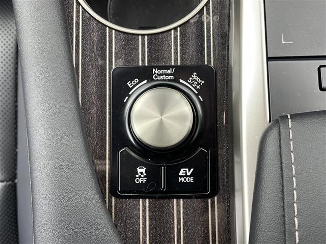 ＲＸ ＲＸ４５０ｈＬ　純正１２．３型ナビ　６人乗り　サンルーフ　全方位カメラ　ＢＳＭ　１００Ｖ電源　３眼ＬＥＤライト　ステアリングヒーター　レクサスセーフティシステムプラス　パワーバックドア　ＥＴＣ２．０　　純正ＡＷ（37枚目）