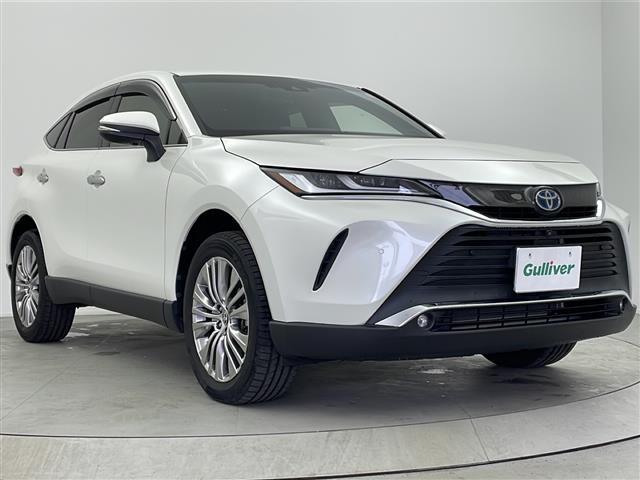 �����̓x�̓K���o�[�̍݌ɂ����������܂��āA�L��������܂��B�K���o�[�O���[�v�̍݌ɂ�̔����Ă���܂��I