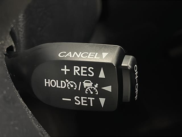 アルファードハイブリッド Ｓ　タイプゴールド　ＪＢＬサウンド　ツインムーンルーフ　パノラミックビューモニター　後席モニター　ＨＤＭＩ　ＢＳＭ　デジタルインナーミラー　衝突軽減ブレーキ　両側電動スライドドア　純正１０．５型ナビ　スマートキー　ＬＥＤ（6枚目）