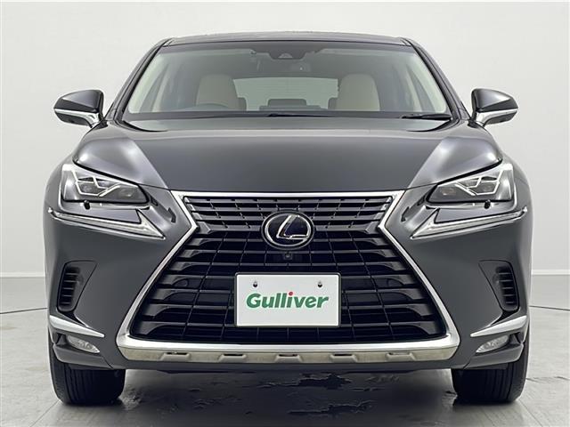 ＮＸ ＮＸ３００ｈ　バージョンＬ（18枚目）