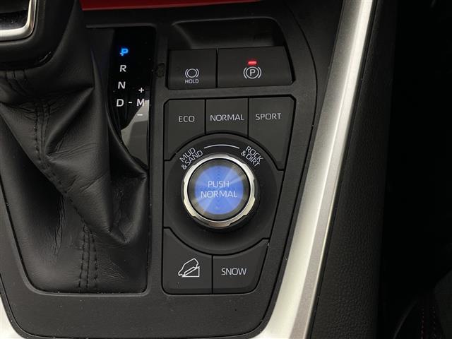 ＲＡＶ４ アドベンチャー　オフロードパッケージＩＩ　純正１０．５型ナビ　全方位カメラ　電動リアゲート　衝突軽減ブレーキ　レーンキープアシスト　ブラインドスポットモニター　レーダークルーズコントロール　寒冷地仕様　ルーフレール　ＬＥＤヘッドランプ　禁煙車（20枚目）