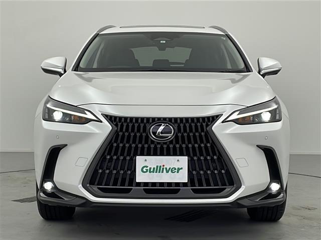 NX NX250 禁煙車/ワンオーナー/純正ナビ/フルセグTV/バック&サイドカメラ/ビルトインETC2.0/電動ムーンルーフ/セーフティシステム/Ltexシート/前席パワーシート/全席シートヒーター/純正フロアマット(32枚目)