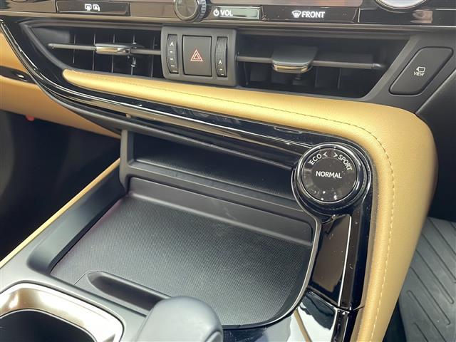 ＮＸ ＮＸ２５０　バージョンＬ　１４インチ純正ナビ　パノラミックビューモニター　パノラマサンルーフ　ルーフレール　フルセグＴＶ　デジタルインナーミラー　前後方ドライブレコーダー　パワーバックドア　レクサスセーフティシステム＋　ＥＴＣ（8枚目）