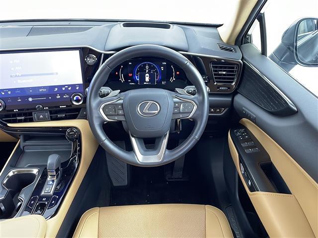 ＮＸ ＮＸ２５０　バージョンＬ　１４インチ純正ナビ　パノラミックビューモニター　パノラマサンルーフ　ルーフレール　フルセグＴＶ　デジタルインナーミラー　前後方ドライブレコーダー　パワーバックドア　レクサスセーフティシステム＋　ＥＴＣ（22枚目）