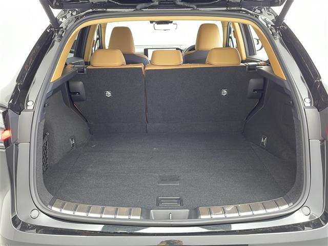 ＮＸ ＮＸ２５０　バージョンＬ　１４インチ純正ナビ　パノラミックビューモニター　パノラマサンルーフ　ルーフレール　フルセグＴＶ　デジタルインナーミラー　前後方ドライブレコーダー　パワーバックドア　レクサスセーフティシステム＋　ＥＴＣ（27枚目）