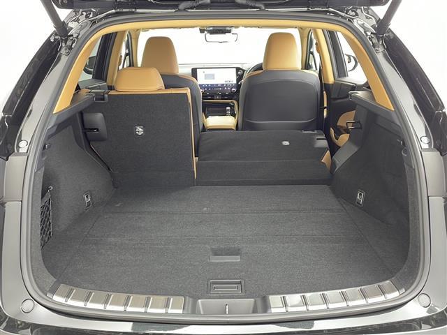 ＮＸ ＮＸ２５０　バージョンＬ　１４インチ純正ナビ　パノラミックビューモニター　パノラマサンルーフ　ルーフレール　フルセグＴＶ　デジタルインナーミラー　前後方ドライブレコーダー　パワーバックドア　レクサスセーフティシステム＋　ＥＴＣ（28枚目）