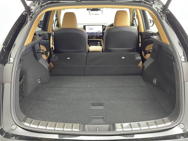 ＮＸ ＮＸ２５０　バージョンＬ　１４インチ純正ナビ　パノラミックビューモニター　パノラマサンルーフ　ルーフレール　フルセグＴＶ　デジタルインナーミラー　前後方ドライブレコーダー　パワーバックドア　レクサスセーフティシステム＋　ＥＴＣ（29枚目）