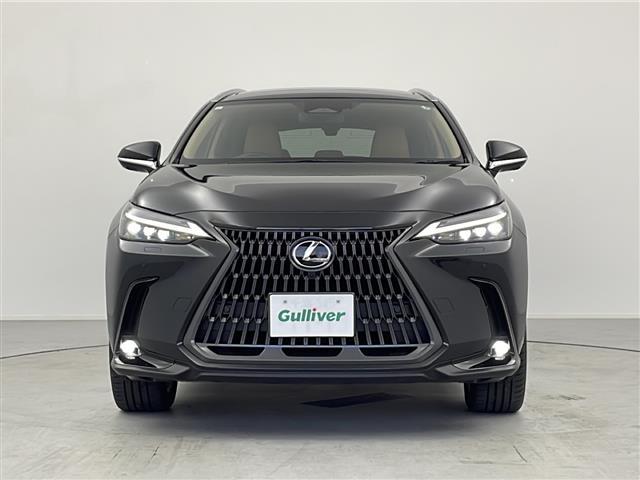 ＮＸ ＮＸ２５０　バージョンＬ　１４インチ純正ナビ　パノラミックビューモニター　パノラマサンルーフ　ルーフレール　フルセグＴＶ　デジタルインナーミラー　前後方ドライブレコーダー　パワーバックドア　レクサスセーフティシステム＋　ＥＴＣ（30枚目）