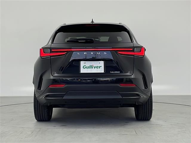 ＮＸ ＮＸ２５０　バージョンＬ　１４インチ純正ナビ　パノラミックビューモニター　パノラマサンルーフ　ルーフレール　フルセグＴＶ　デジタルインナーミラー　前後方ドライブレコーダー　パワーバックドア　レクサスセーフティシステム＋　ＥＴＣ（33枚目）