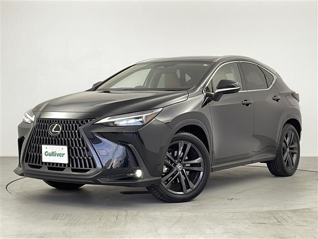 ＮＸ ＮＸ２５０　バージョンＬ　１４インチ純正ナビ　パノラミックビューモニター　パノラマサンルーフ　ルーフレール　フルセグＴＶ　デジタルインナーミラー　前後方ドライブレコーダー　パワーバックドア　レクサスセーフティシステム＋　ＥＴＣ（34枚目）
