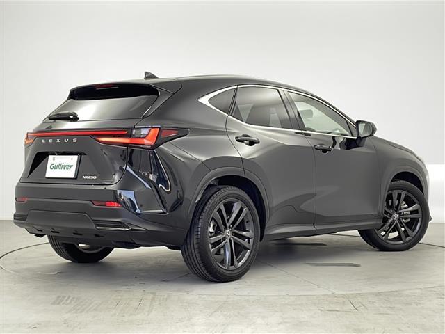 ＮＸ ＮＸ２５０　バージョンＬ　１４インチ純正ナビ　パノラミックビューモニター　パノラマサンルーフ　ルーフレール　フルセグＴＶ　デジタルインナーミラー　前後方ドライブレコーダー　パワーバックドア　レクサスセーフティシステム＋　ＥＴＣ（35枚目）