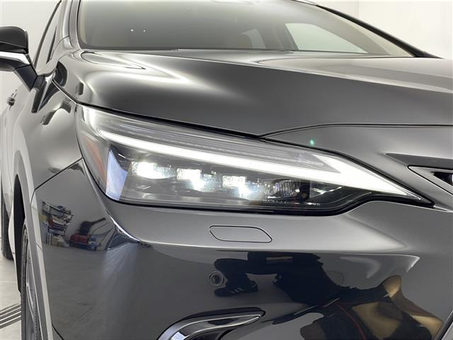 ＮＸ ＮＸ２５０　バージョンＬ　１４インチ純正ナビ　パノラミックビューモニター　パノラマサンルーフ　ルーフレール　フルセグＴＶ　デジタルインナーミラー　前後方ドライブレコーダー　パワーバックドア　レクサスセーフティシステム＋　ＥＴＣ（36枚目）