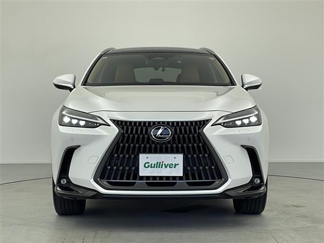 ＮＸ ＮＸ３５０ｈ　バージョンＬ　純正ナビ　パノラミックビューモニター　レクサスチームメイト　アドバンストパーク　ルーフレール　デジタルインナーミラー　ワイヤレス充電　レクサスセーフティシステム＋　レザーシート　ＢＳＭ　ＨＵＤ（32枚目）