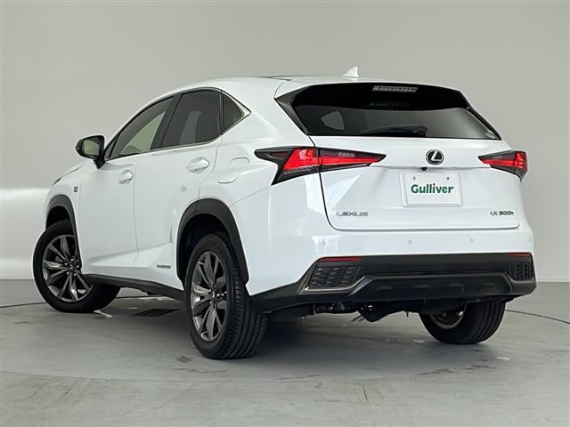 ＮＸ ＮＸ３００ｈ　Ｆスポーツ　パノラマルーフ　三眼ＬＥＤヘッドライト　純正ナビ　Ｂｌｕｅｔｏｏｔｈ　フルセグＴＶ　ＵＳＢ　ＣＤ　ＤＶＤ　衝突被害軽減ブレーキ　コーナーセンサー　ブラインドスポットモニター　レーン　追従クルコン（43枚目）