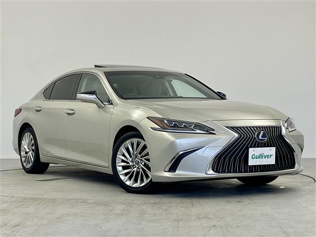 ＥＳ ＥＳ３００ｈ　バージョンＬ　純正１２．３インチワイドディスプレイナビ　電動サンルーフ　パノラミックビューモニター　ＬＥＸＵＳ　Ｓａｆｔｙ　Ｓｙｓｔｅｍ　ＬＥＸＵＳプレミアムサウンド　アダプティブクルーズコントロール（35枚目）