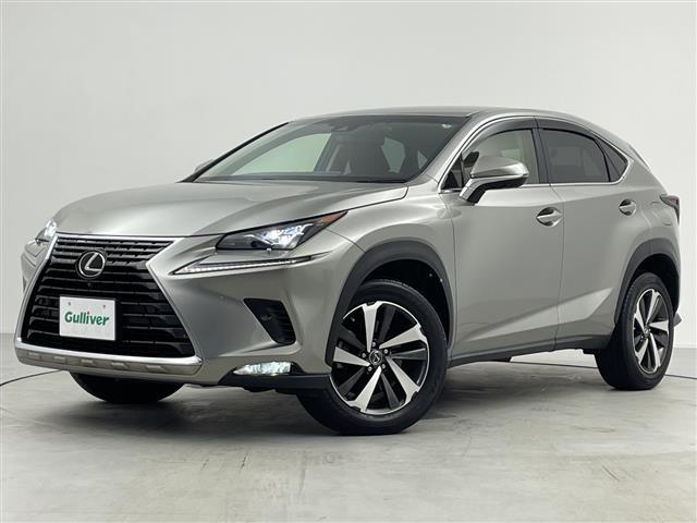 ＮＸ ＮＸ３００　Ｉパッケージ　禁煙車／純正１０．３型ナビ／フルセグＴＶ／パノラミックビュー／ＥＴＣ２．０／デジタルミラー／合皮シート／前席パワーシート・ヒーター／パワーバックドア／純正ＯＰ１８インチアルミ／純正マット／純正バイザー（34枚目）