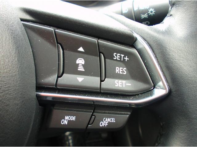 ＡＣＣ、衝突軽減ブレーキも装備