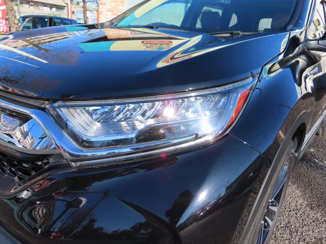 ���邭���F���ɗD�ꂽ�k�d�c�w�b�h���C�g�����B