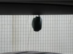 �ڥɥ饤�֥쥳��������������λ��Τˤ��ä����Ǥ⡢�ɥ饤�֥쥳�����������νִ֤α�����Ͽ���Ƥ��ޤ��� 7