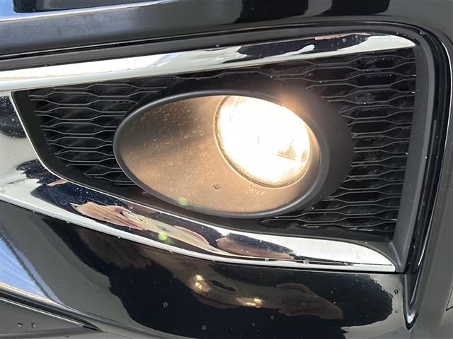 エルグランド 250ハイウェイスターS 禁煙車/純正ナビ/全周囲カメラ/ETCフルセグ/衝突軽減装置/両側電動スライドドア/ドライブレコーダー/Bluetooth/ハーフレザーシート/オートライト/オートエアコン/スマートキー(40枚目)