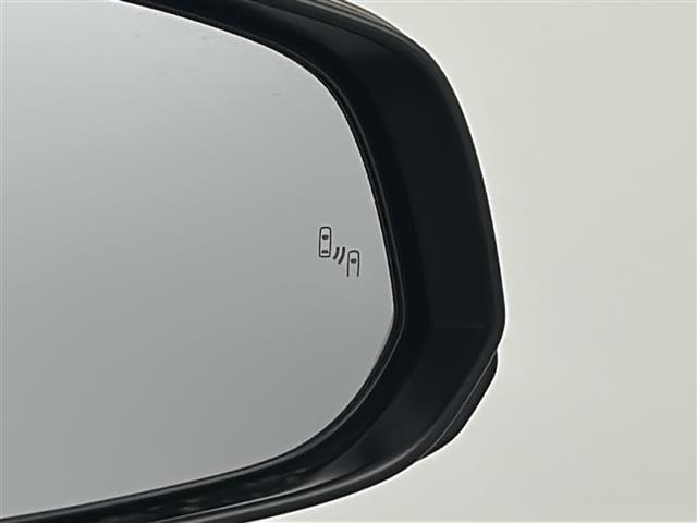 アルファードハイブリッド エグゼクティブラウンジ 禁煙車/純正14型ナビ/ツインムーンルーフ/後席モニター/チームメイト/ユニバーサルステップ/全周囲カメラ/デジタルインナーミラー/DVD再生/全席温冷シート/全席パワーシート/本革シート/ドラレコ(9枚目)