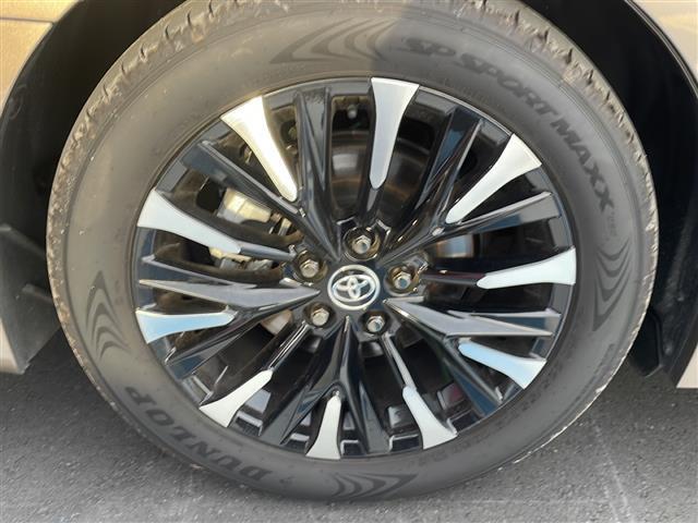 アルファードハイブリッド エグゼクティブラウンジ 禁煙車/純正14型ナビ/ツインムーンルーフ/後席モニター/チームメイト/ユニバーサルステップ/全周囲カメラ/デジタルインナーミラー/DVD再生/全席温冷シート/全席パワーシート/本革シート/ドラレコ(16枚目)