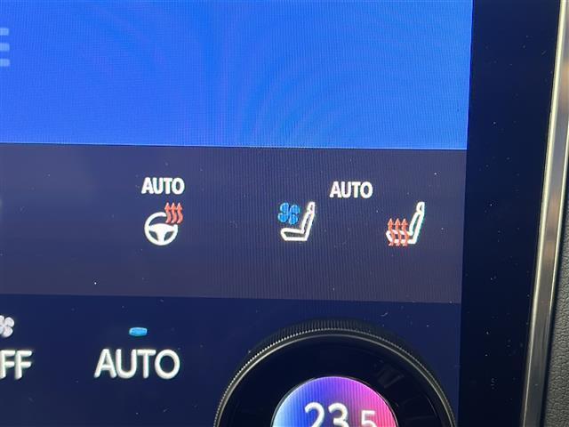 アルファードハイブリッド エグゼクティブラウンジ 禁煙車/純正14型ナビ/ツインムーンルーフ/後席モニター/チームメイト/ユニバーサルステップ/全周囲カメラ/デジタルインナーミラー/DVD再生/全席温冷シート/全席パワーシート/本革シート/ドラレコ(21枚目)