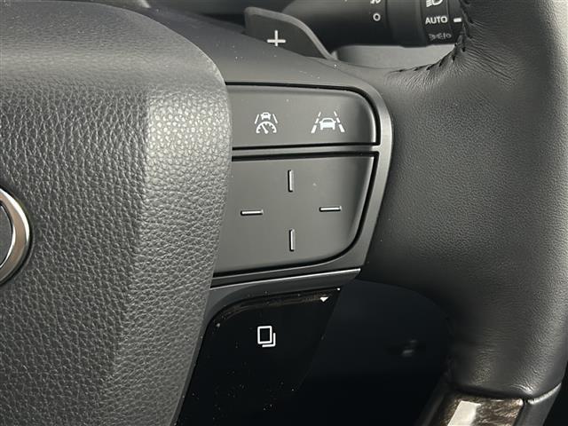 アルファードハイブリッド エグゼクティブラウンジ 禁煙車/純正14型ナビ/ツインムーンルーフ/後席モニター/チームメイト/ユニバーサルステップ/全周囲カメラ/デジタルインナーミラー/DVD再生/全席温冷シート/全席パワーシート/本革シート/ドラレコ(27枚目)