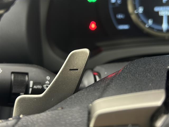 IS IS300h Fスポーツ 禁車車 レーダークルーズコントロール シートヒーター バックカメラ パドルシフト ETC 純正ナビ フルセグTV フォグランプ ステアリングリモコン パワーシート LEDライト(9枚目)