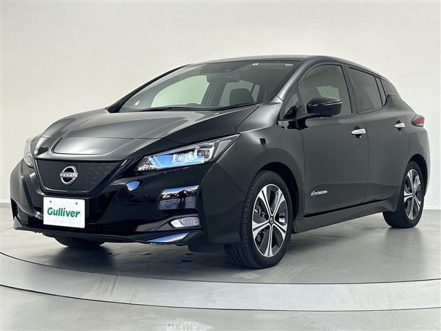 リーフ Ｘ　Ｖセレクション　禁煙車　アラウンドビューモニター　プロパイロット　デジタルミラー　ステアリングヒーター　シートヒーター　ＢＳＭ　クリアランスソナー　コネクティッドナビ　ＨＤＭＩ　オートハイビーム　ドライブレコーダー（18枚目）
