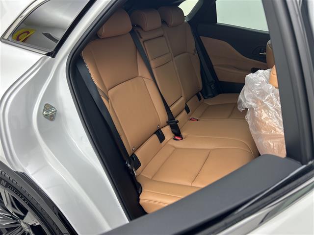 ���k���[���ɂ̓L�b�Y���[�����������Ă��܂������q�l�A��ł��������Ƃ��Ԃ����I�т��������܂��I